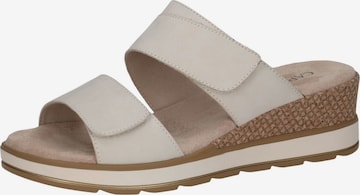 CAPRICE Mules in Beige: front