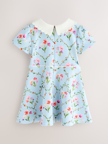 Baker by Ted Baker Jurk in Blauw