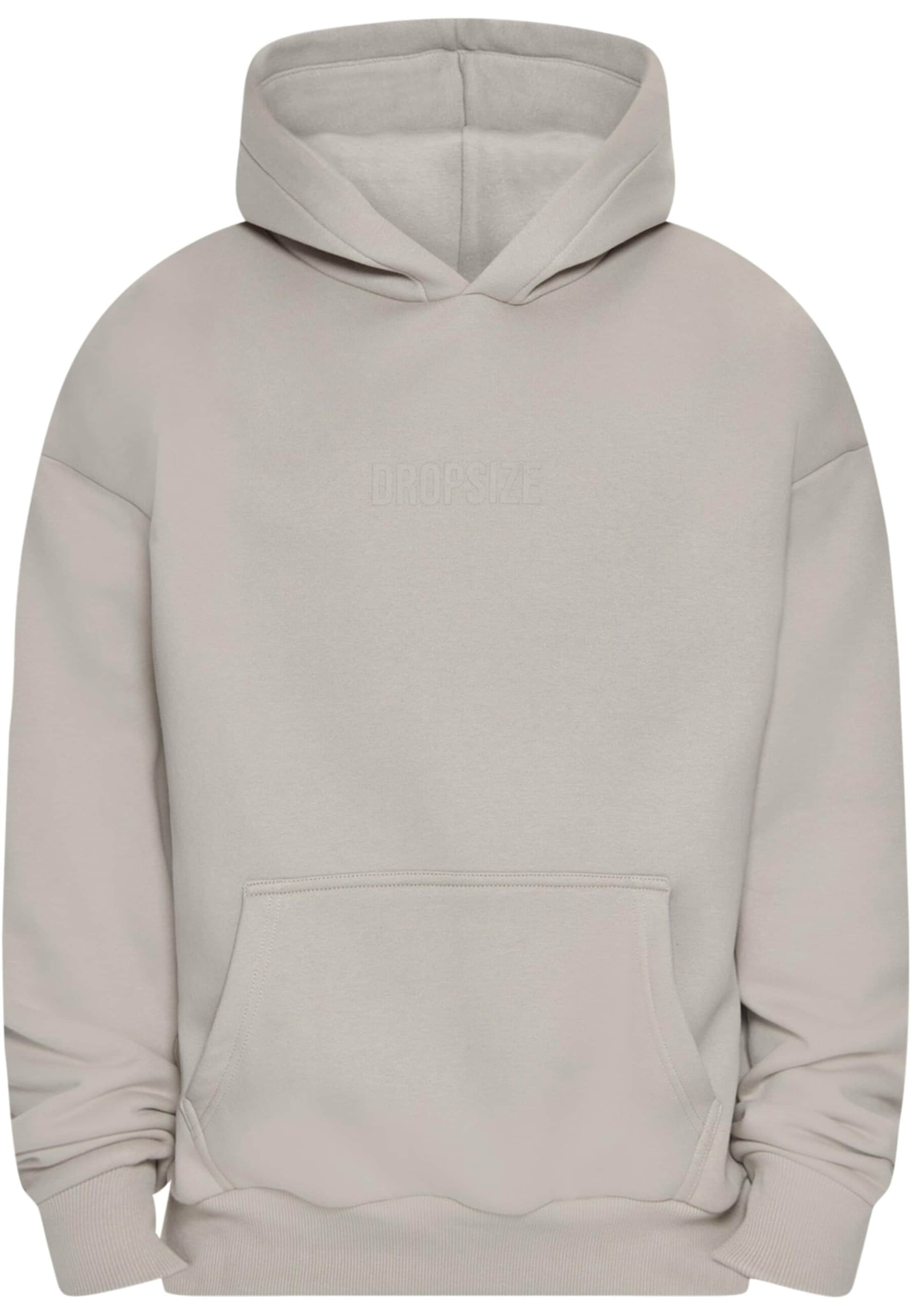 Dropsize Sweatshirt in Grey: front