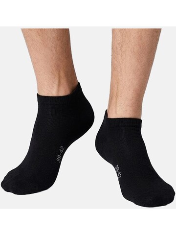 El Sueno Socks 'Sneaker Socken' in Mixed colors: front