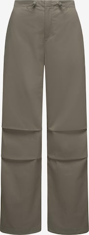 Ragwear Pants 'Paragata' in Brown: front