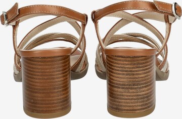 Nero Giardini Strap Sandals in Brown