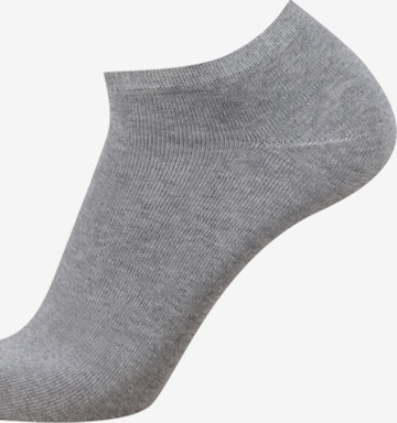CAMEL ACTIVE Socks in Grey