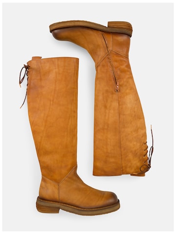 Cuissardes 'Catrin T011' FELMINI en marron