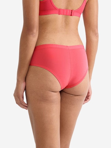 SLOGGI Boyshorts ' Blue FREE Evolve ' in Red