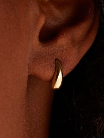 Lucardi Earrings in Gold