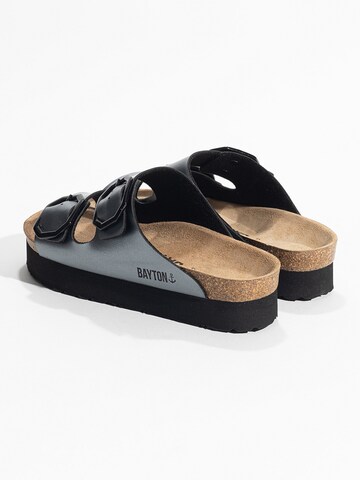 Bayton Mule 'JAPET' in Grey