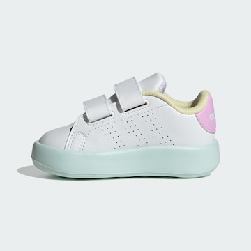 ADIDAS ORIGINALS Trainers 'Advantage' in White