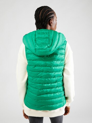 TOMMY HILFIGER Vest in Green