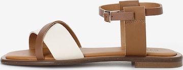 Sandalo di CAFè NOIR in marrone: frontale