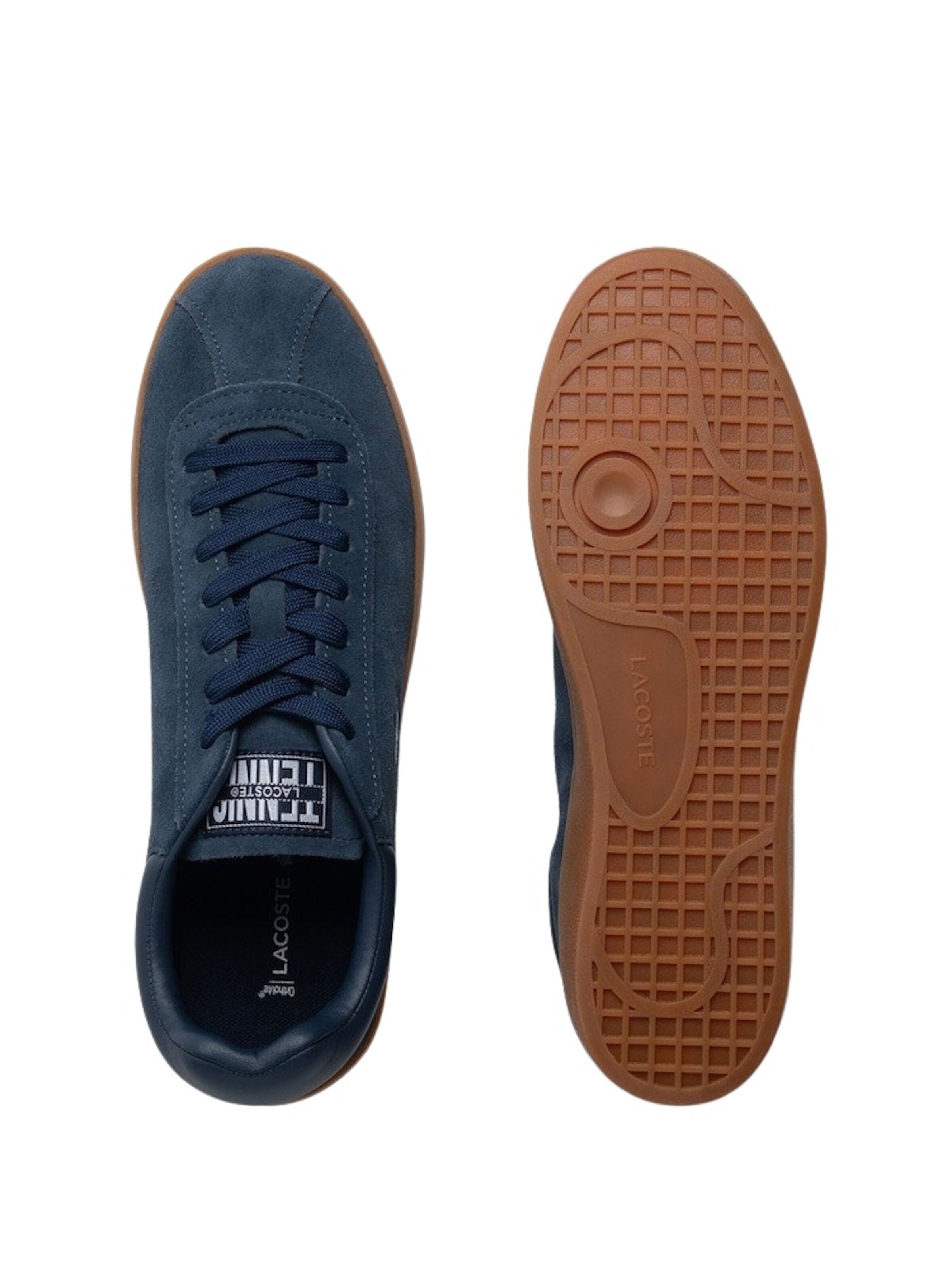 Baskets basses 'Baseshot' LACOSTE en bleu