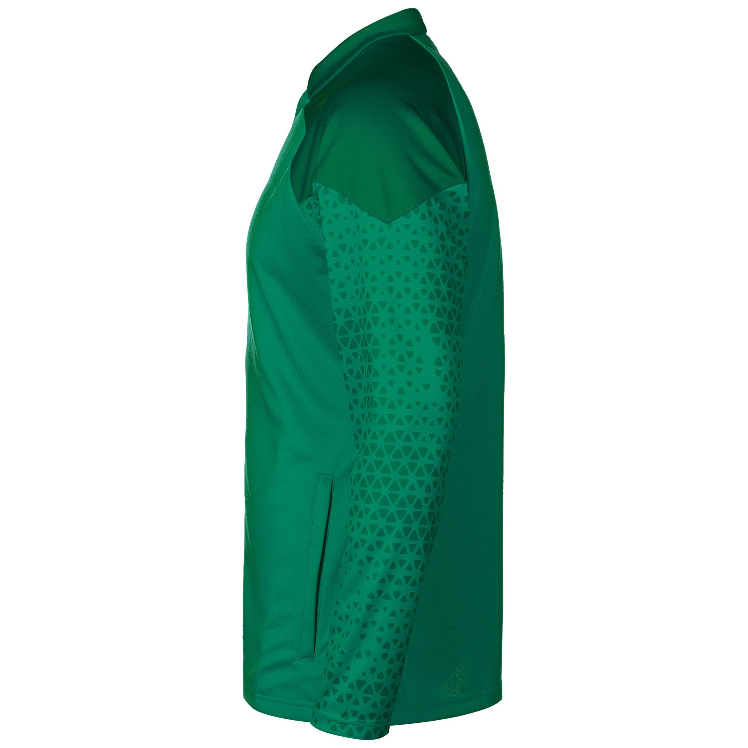 PUMA Training Jacket in Green