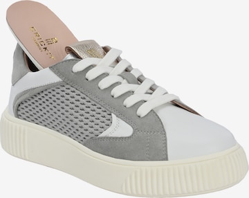 Baskets basses 'OTIS ' Crickit en gris