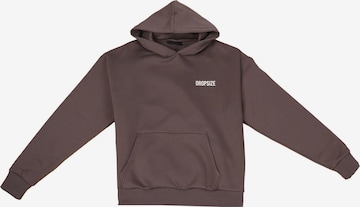 Dropsize Sweatshirt in Brown: front