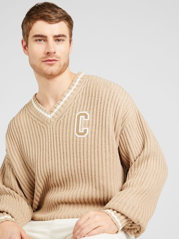 Champion Authentic Athletic Apparel Pullover in Braun