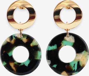 Fräulein Wunder Earrings 'Acetat Adua' in Green: front