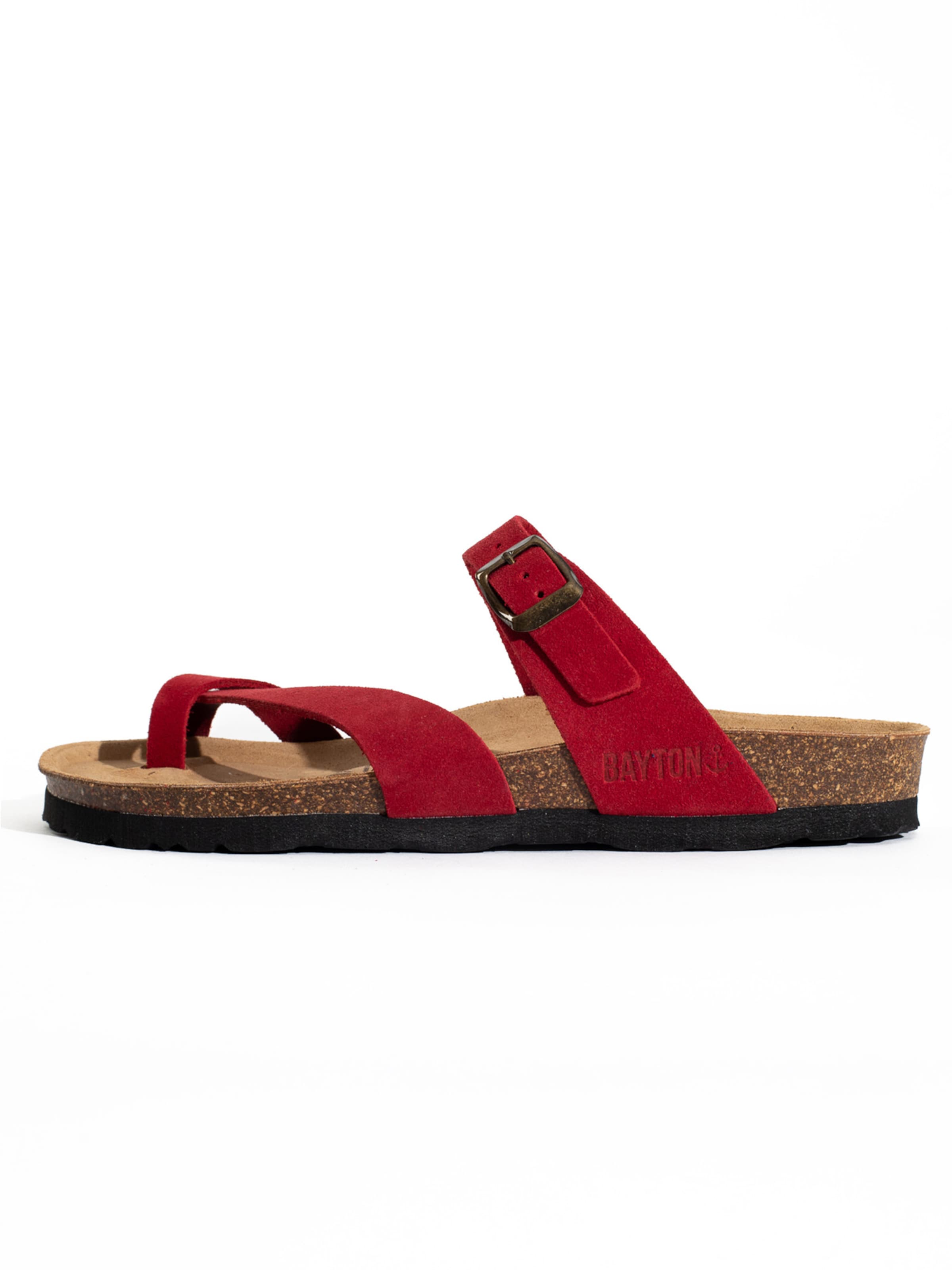 Bayton Plätu 'Diane', värv punane: eest vaates