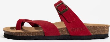 Bayton Mule 'Diane' in Red: front