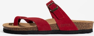 Bayton Mule 'Diane' in Red: front