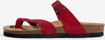 Bayton Mule 'Diane' in Brown / Red / Black, Item view