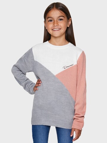 Pull-over 'Reegan' Threadgirls en gris : devant