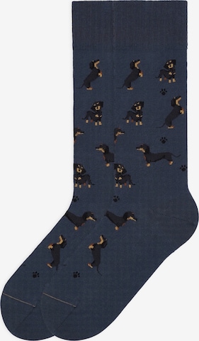 Von Jungfeld Socks 'Best of Icons' in Blue: front