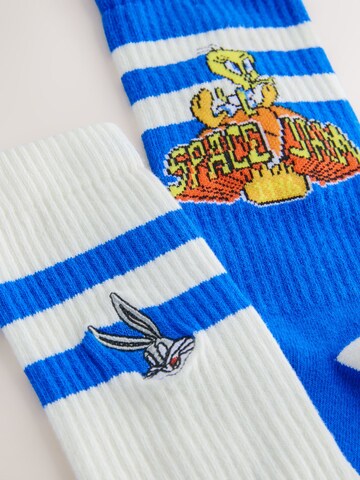 mėlyna Next Kojinės 'Looney Tunes'