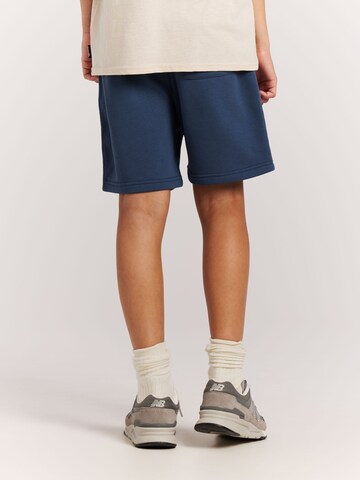 PROTEST Loosefit Hose 'PRTClints JR'‌‌‌‌‌ in Blau
