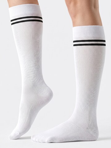 footstar Knee High Socks 'Ringel' in White: front