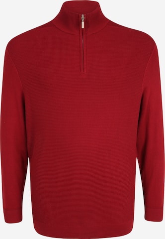 TOM TAILOR Men + Sweater in Red: front