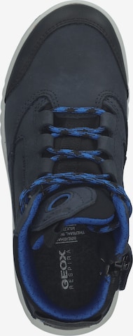 GEOX Stiefel in Blau