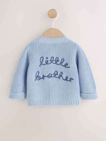 Next Gebreid vest in Blauw