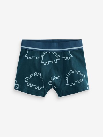 Next Underpants in Blue