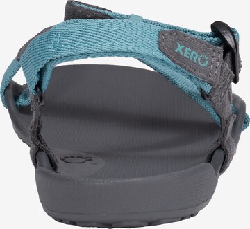 Xero Shoes Sandals 'Z-Trek' in Blue