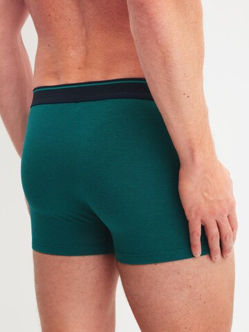 CALIDA Boxer shorts 'Cotton Stretch' in Green