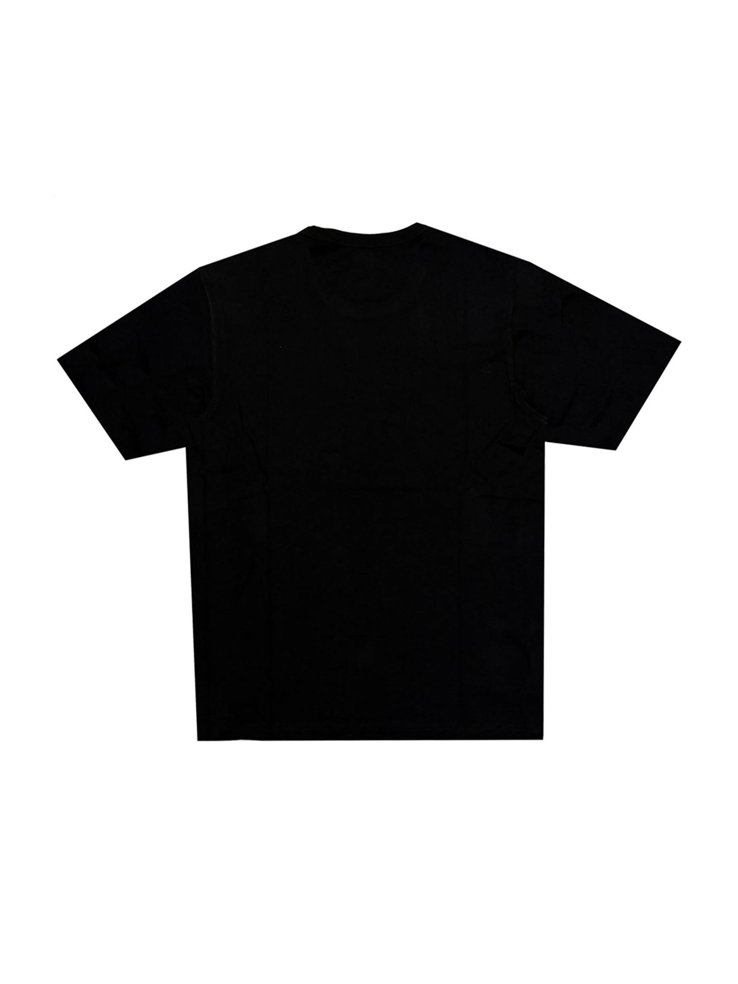 DICKIES Shirt 'Aitkin' in Black