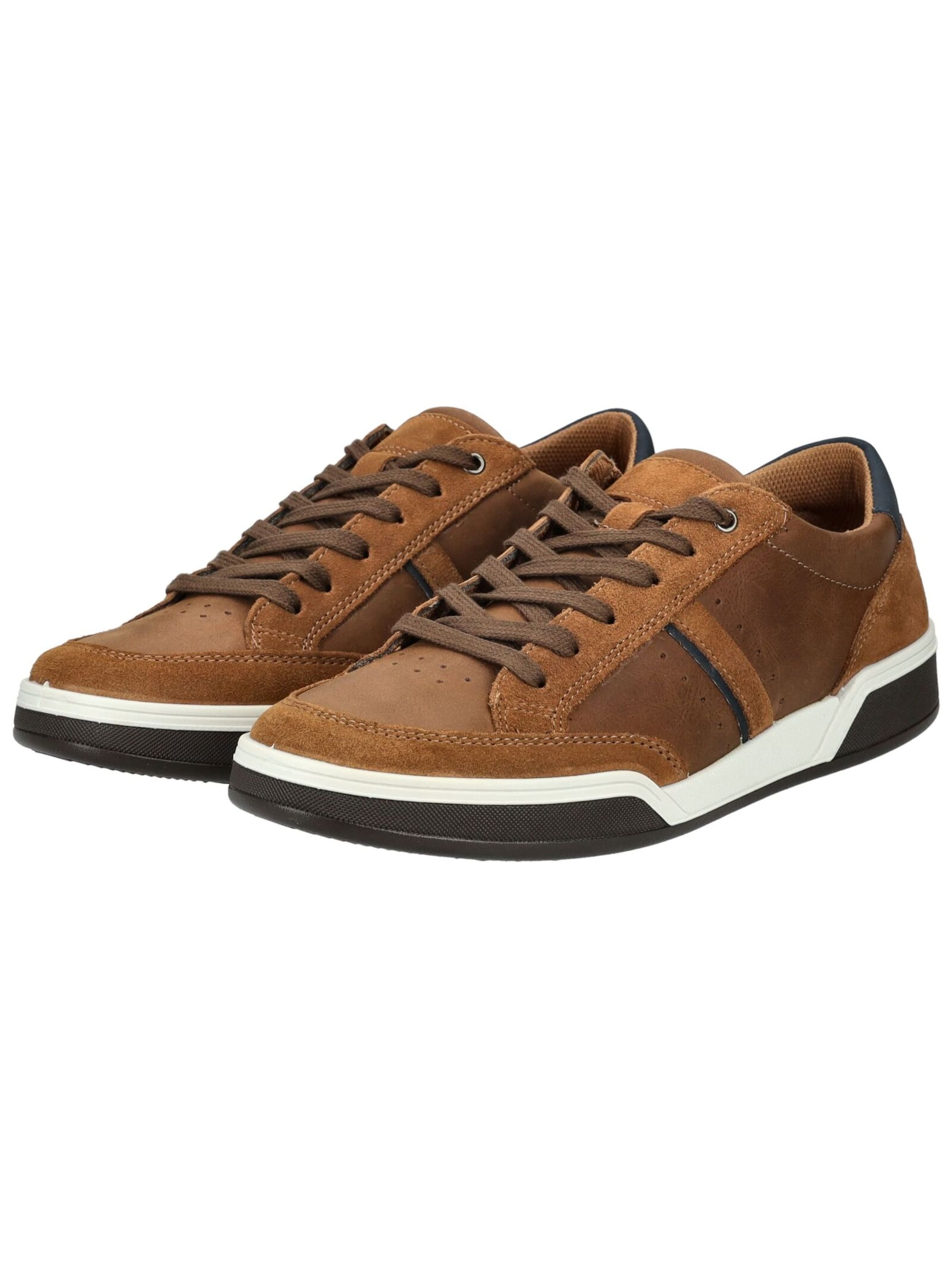 IMAC Platform trainers in Brown