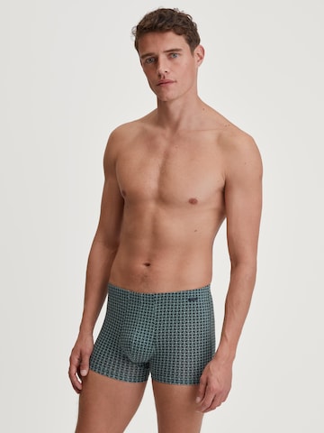 CALIDA Boxer shorts 'Focus Trend' in Green: front