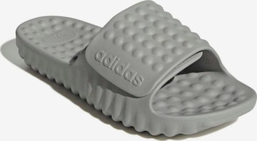 ADIDAS SPORTSWEAR Muiltjes 'ADISSAGE 360REC' in Grijs: voorkant