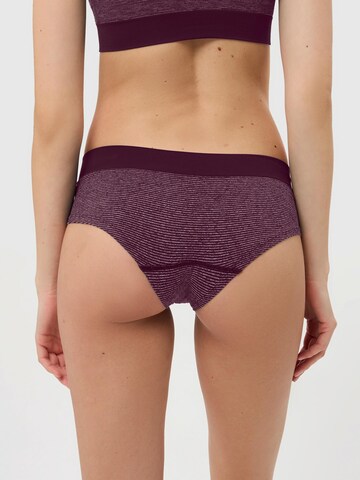 BeeDees Slip 'Slip Comfee Hipster Seamless'‌‌‌‌‌‌‌ in Lila