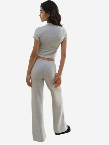 Wide Leg Pantalon Hiccup en gris