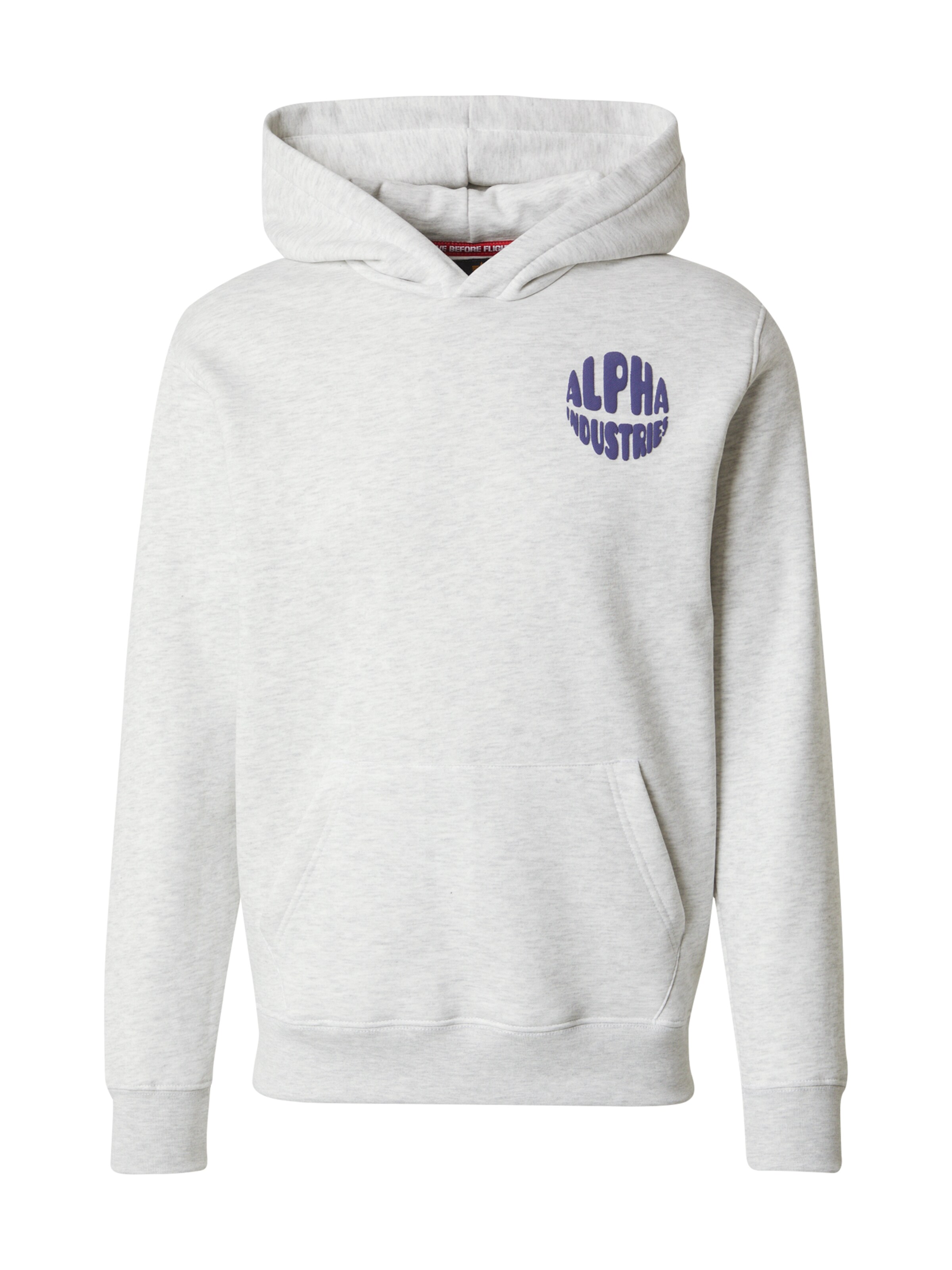 Sweat-shirt ALPHA INDUSTRIES en gris : devant