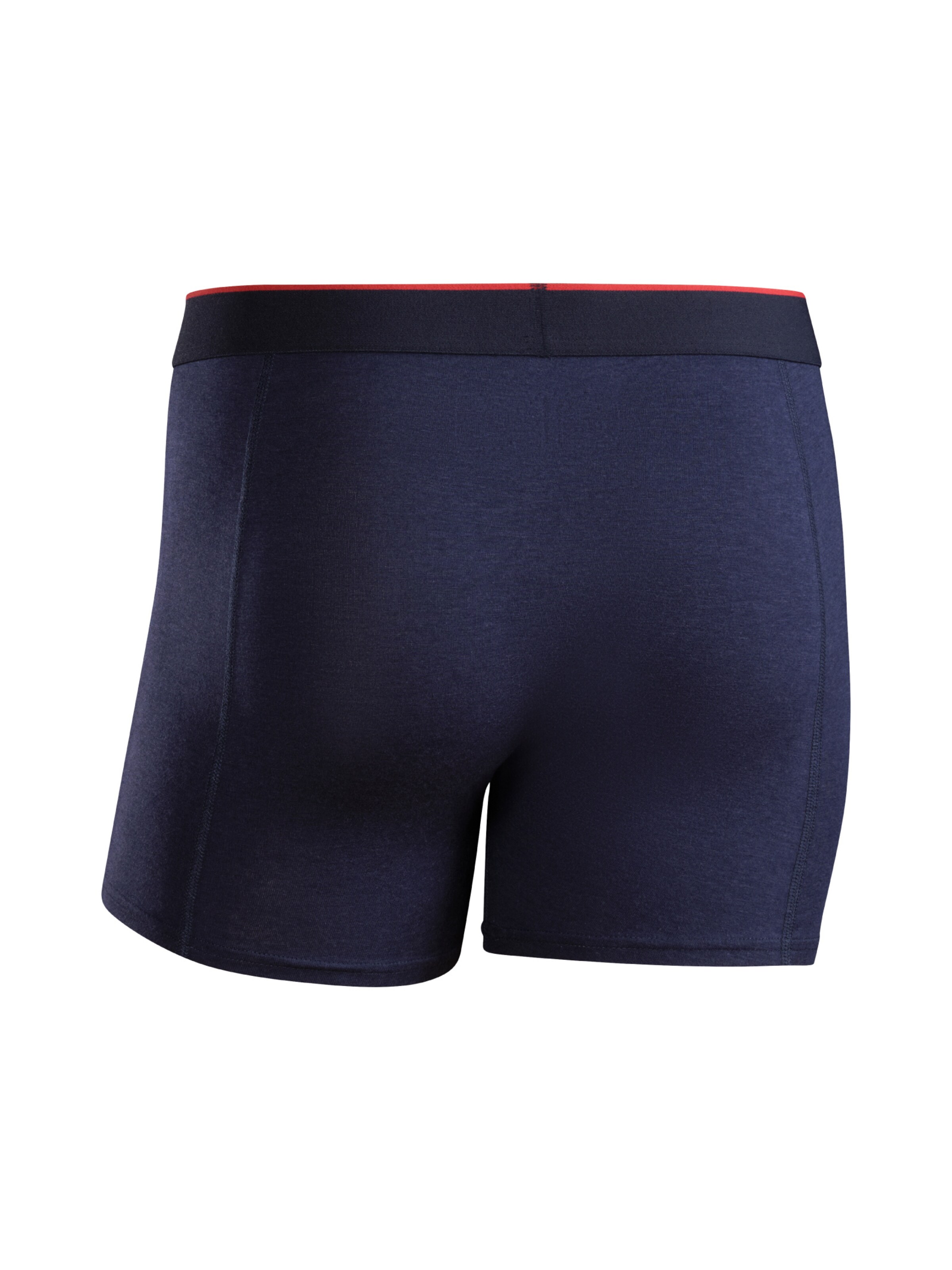 Boxers 'Bamboo Trunks' DANISH ENDURANCE en mélange de couleurs