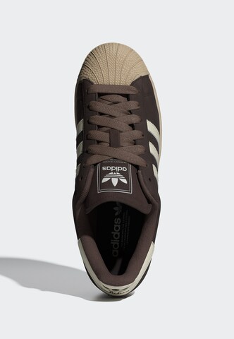 Baskets basses 'Superstar ll' ADIDAS ORIGINALS en marron