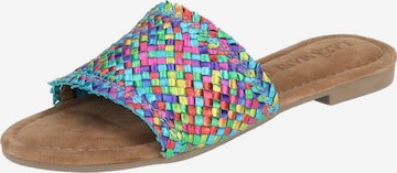LAZAMANI Mules in Mixed colors: front