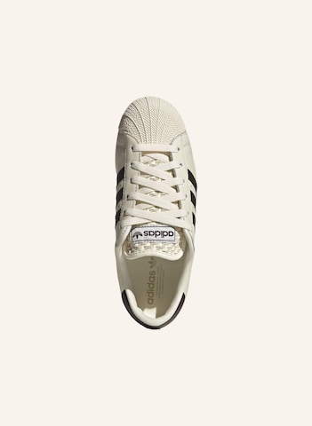Baskets basses 'Superstar Lo Pro' ADIDAS ORIGINALS en blanc
