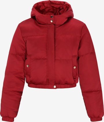 Geacă de iarnă de la faina pe roșu: față