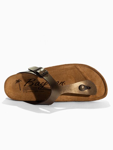 Bayton Japonke 'ASTURIAS' | bronasta barva