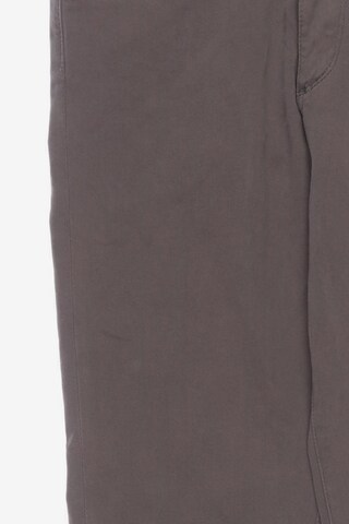 Adriano Goldschmied Pants in M in Brown