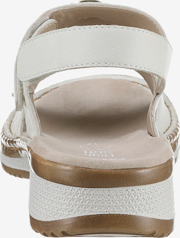 ARA Sandals in Beige